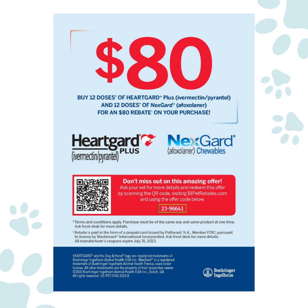 Wellness Specials Meriden Animal Hospital
