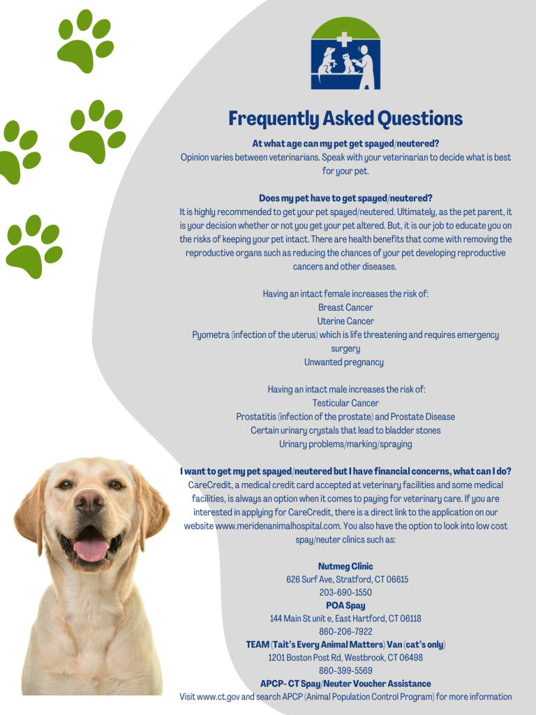 Puppy Kit Meriden Animal Hospital