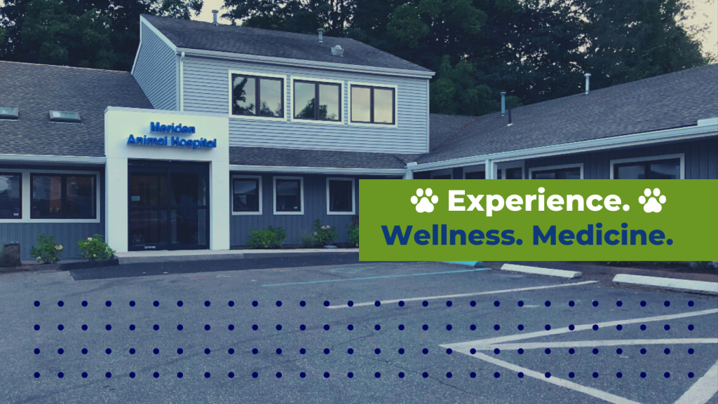 Experience.Wellness.Medicine Meriden Animal Hospital Meriden Animal
