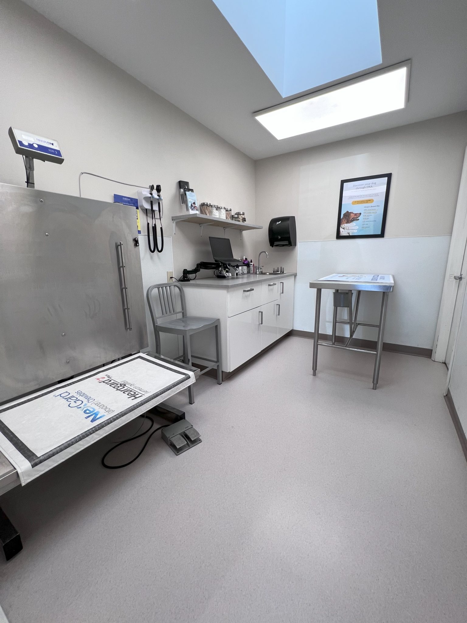 Services Meriden Animal Hospital