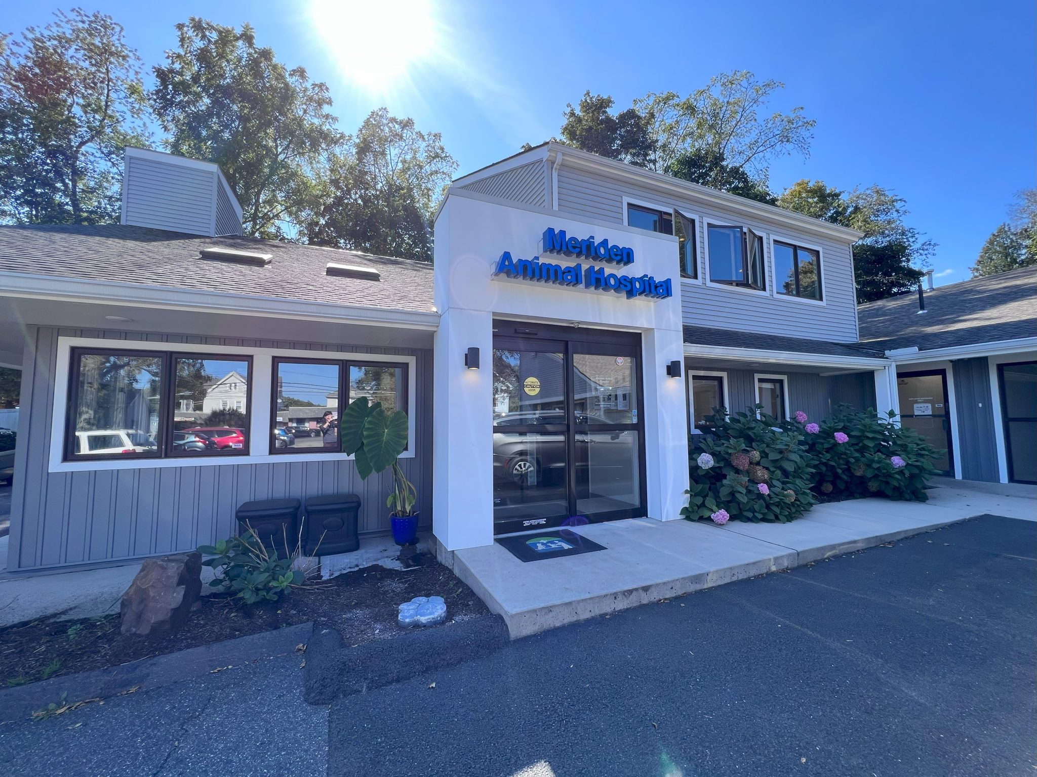 New Pet Parent Information Meriden Animal Hospital